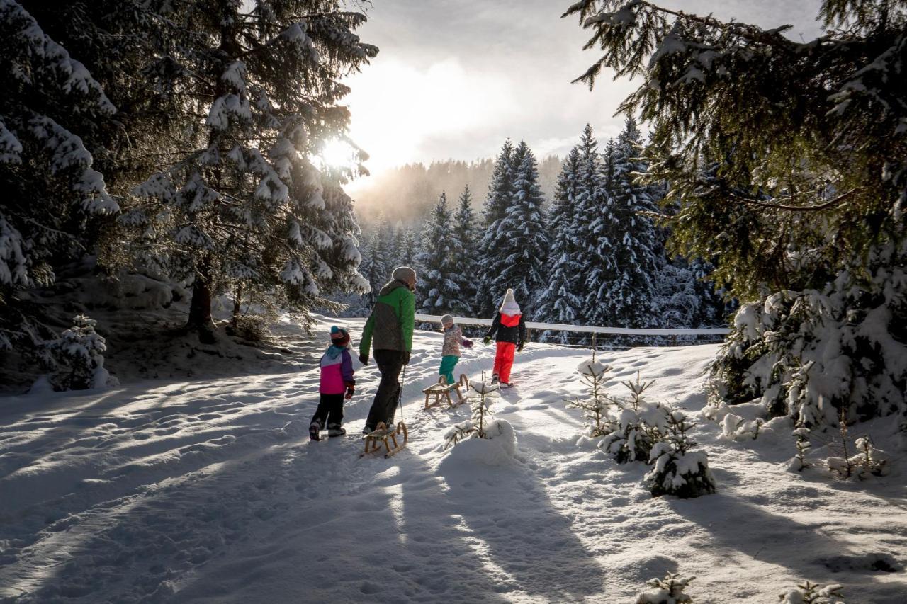 Naturpark Huette Mandl, Biobauernhof & Huettenurlaub Санкт Ламбрехт Екстериор снимка