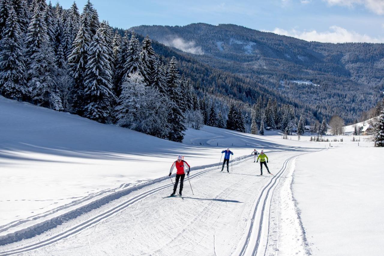 Naturpark Huette Mandl, Biobauernhof & Huettenurlaub Санкт Ламбрехт Екстериор снимка
