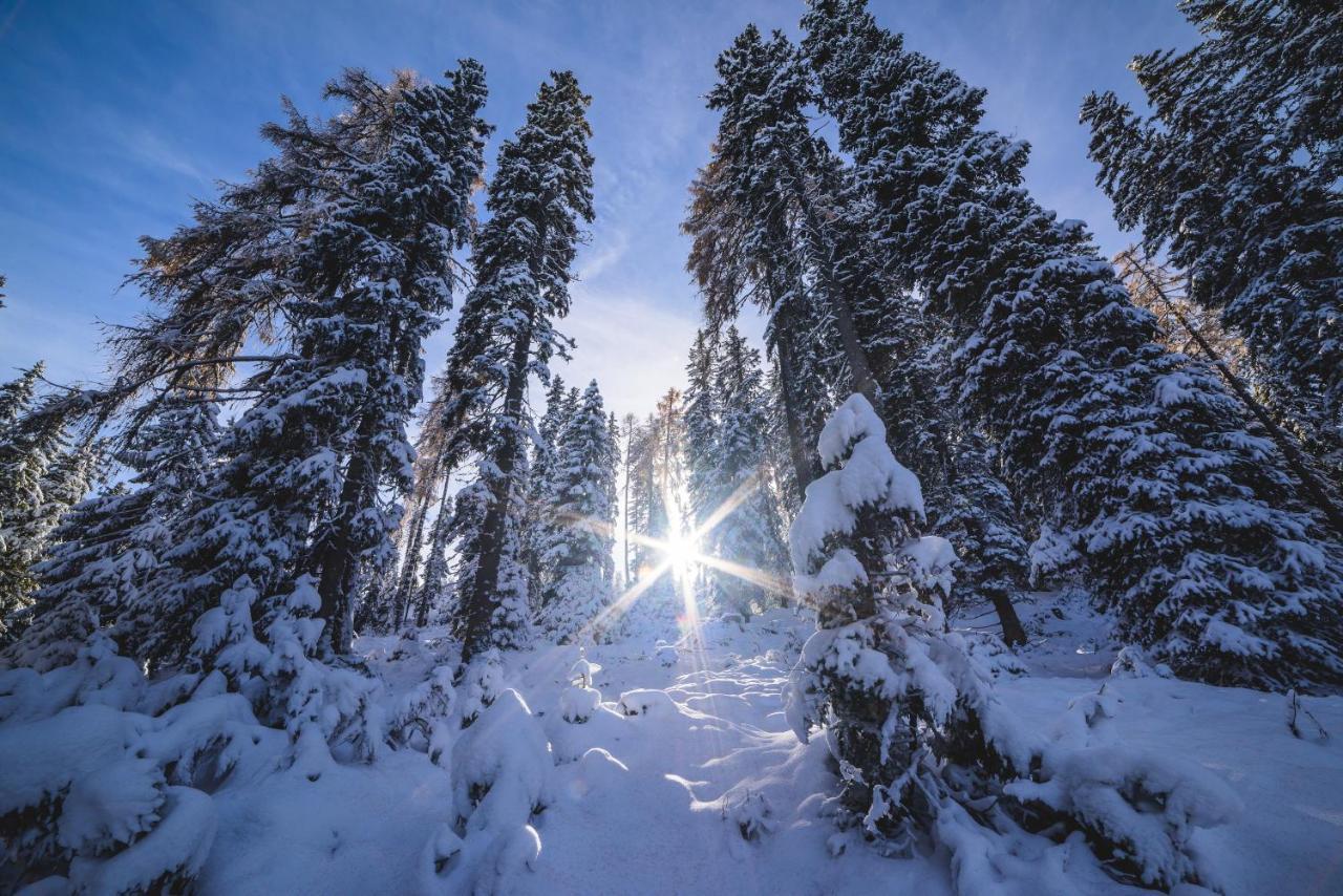Naturpark Huette Mandl, Biobauernhof & Huettenurlaub Санкт Ламбрехт Екстериор снимка