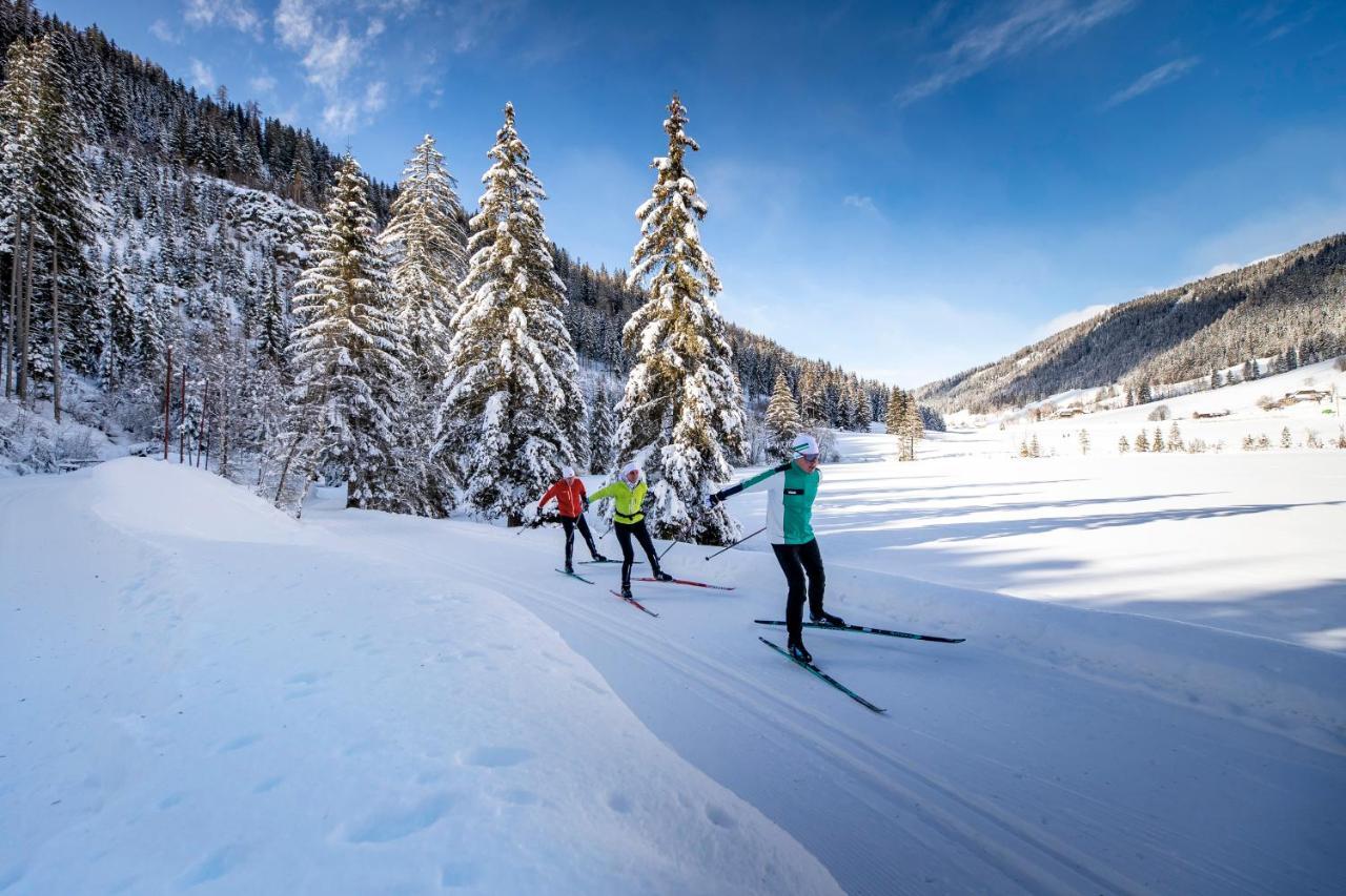 Naturpark Huette Mandl, Biobauernhof & Huettenurlaub Санкт Ламбрехт Екстериор снимка
