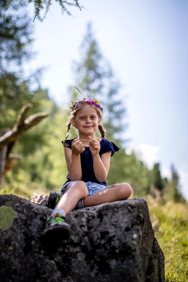 Naturpark Huette Mandl, Biobauernhof & Huettenurlaub Санкт Ламбрехт Екстериор снимка