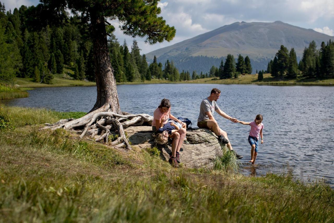 Naturpark Huette Mandl, Biobauernhof & Huettenurlaub Санкт Ламбрехт Екстериор снимка
