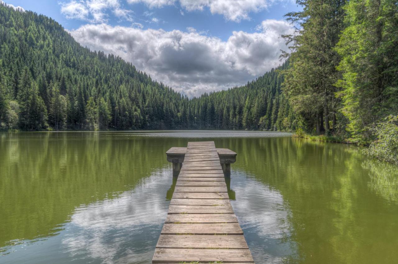 Naturpark Huette Mandl, Biobauernhof & Huettenurlaub Санкт Ламбрехт Екстериор снимка